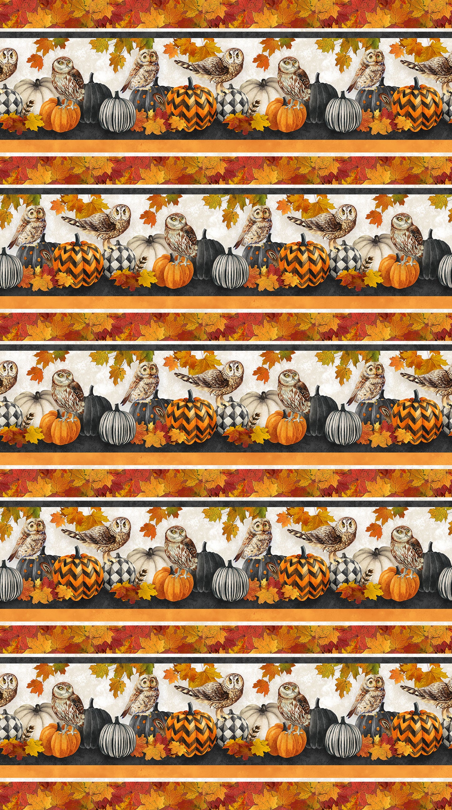 Night Owl Double Border