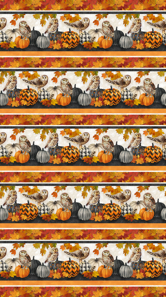 Night Owl Double Border